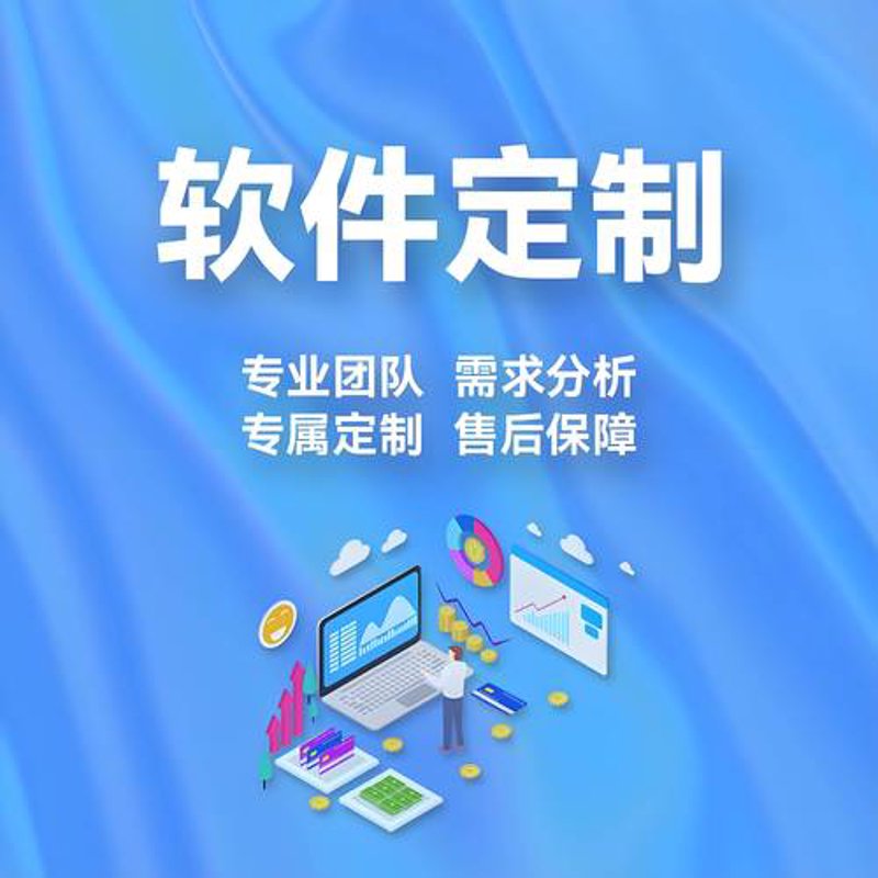 软件定制开发助力企业腾飞